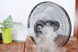 Không bật quạt phun sương thẳng vào người