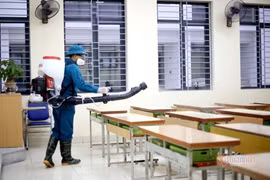 Virus không tự nhân lên được