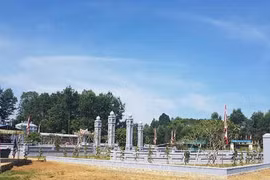 Chính sách tiến bộ