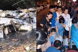 Nước sinh hoạt bốc mùi ở Hà Nội: Đừng để dân thêm lo lắng, bất an!