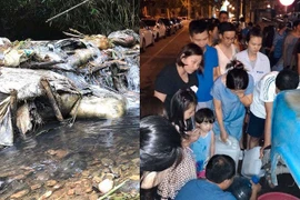 Nước sinh hoạt bốc mùi ở Hà Nội: Đừng để dân thêm lo lắng, bất an!