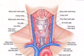 Điều trị đích trong ung thư tuyến giáp