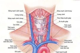 Điều trị đích trong ung thư tuyến giáp