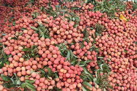 Văn phòng Chính phủ đề nghị hỗ trợ tiêu thụ nông sản Bắc Giang