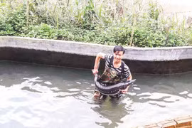 Lên chốn bồng lai… lai rai chuyện cá tầm