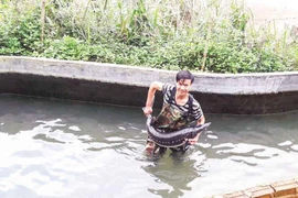 Lên chốn bồng lai… lai rai chuyện cá tầm