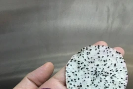 Công nghệ giữ hương vị tự nhiên cho trái cây sấy