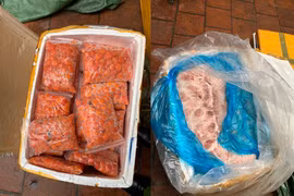 Hà Nội: Thu giữ 5 tấn nầm lợn, trứng non “bẩn” sắp vào bàn nhậu.