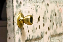 Xử lý các “rắc rối” khi mưa nhiều