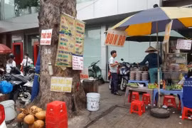 Rủi ro từ nạn "bức tử" cây xanh