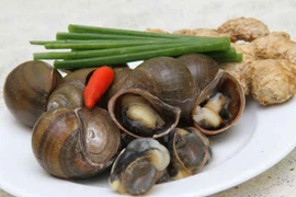 Ốc bươu giúp tăng chiều cao