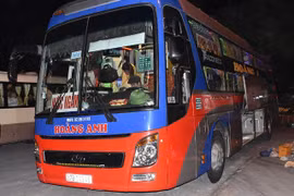 Ninh Bình: Bắt vụ vận chuyển 36 cá thể tê tê