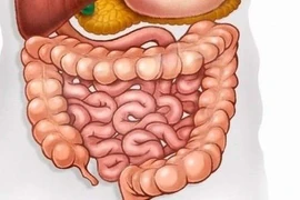 Hội chứng ruột kích thích ở người cao tuổi