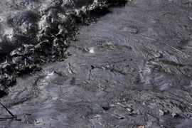 tràn dầu tại peru