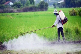 Tháng 4/2019, Việt Nam nhập khẩu gần 82 triệu USD thuốc trừ sâu và nguyên liệu