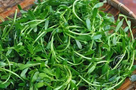 Món ăn phòng trị sỏi mật 