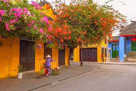 Du lịch Việt: Vừa gượng dậy, lại “ốm nặng" vì dịch