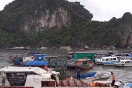 Tàu cá đâm tung nóc tàu cao tốc ở Quảng Ninh, 46 hành khách la hét hoảng loạn