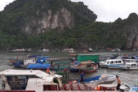 Tàu cá đâm tung nóc tàu cao tốc ở Quảng Ninh, 46 hành khách la hét hoảng loạn