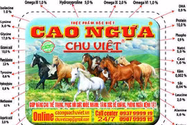 Làm gì để tăng cường sức khỏe trong môi trường hiện nay