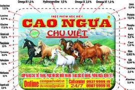 Làm gì để tăng cường sức khỏe trong môi trường hiện nay