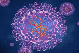 Virus đậu mùa khỉ đột biến thấp