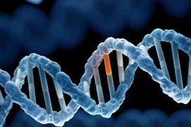 Lý do cấm hôn nhân cận huyết