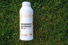 Kết luận mới mang tính khoa học và quan trọng về sự an toàn của glyphosate
