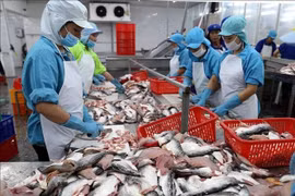 Xuất khẩu cá tra quý I tăng 88% so vời cùng kỳ 