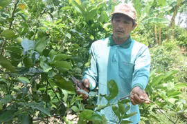 Điều tra vụ chuyển nhượng 16 thửa đất sớm bất thường ở Đồng Tháp