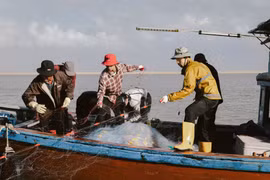 Ngư dân kể chuyện quay MV Mang tiền về cho mẹ cùng Đen Vâu