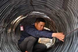 Giá thép tăng phi mã, Chính phủ vào cuộc