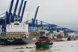 Cảng Cát Lái tạm ngừng tiếp nhận hàng hóa