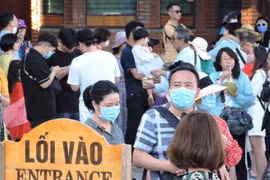 Du lịch Việt “ốm nặng” vì dịch Corona