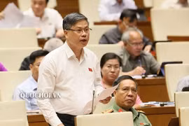 Đưa người thân ra để chịu tội thay - lời giải thích như đùa