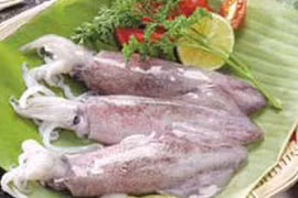 Cá mực – Thuốc tốt cho chị em