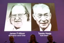 Quy trình dùng thuốc điều trị ung thư theo liệu pháp miễn dịch