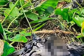 Cà Mau: Vợ khai nhận giết chồng giấu xác dưới ao hơn 4 tháng