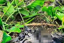 Cà Mau: Vợ khai nhận giết chồng giấu xác dưới ao hơn 4 tháng