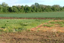 Thủ tướng đồng ý chuyển đổi mục đích sử dụng đất tại tỉnh Phú Thọ