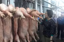 TPHCM: “Xử phạt nặng để ngăn chặn thực phẩm bẩn”