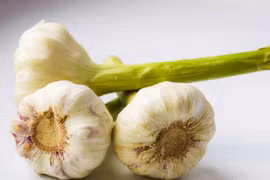 Ăn tỏi mọc mầm có an toàn?