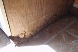 Diệt mọt trong đồ gỗ