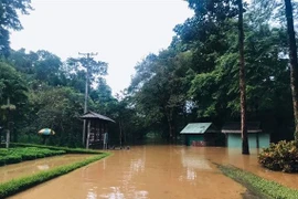 Cảnh báo nguy cơ ngập lụt khẩn cấp trên sông Đồng Nai.