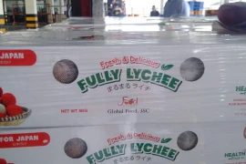 Cùng Vietjet chung tay xuất khẩu và tiêu thụ vải thiều Bắc Giang 