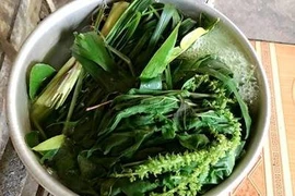 Xông nước lá để phòng COVID, 2 trẻ bị bỏng phải điều trị tích cực