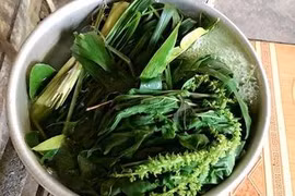 Xông nước lá để phòng COVID, 2 trẻ bị bỏng phải điều trị tích cực