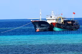 Nhận dạng tàu cá Trung Quốc - Kỳ 1: Đa phần là tàu vỏ sắt