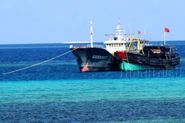 Nhận dạng tàu cá Trung Quốc - Kỳ 1: Đa phần là tàu vỏ sắt