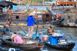 Sống nơi ẩm ướt dễ nhiễm bệnh 